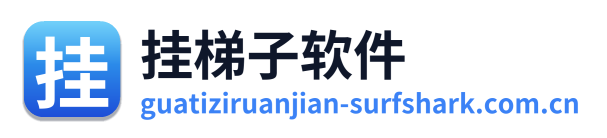 挂梯子软件 Logo